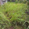 お庭の草刈り・除草作業で暮らしの困りごとをすっきり解決