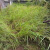 お庭の草刈り・除草作業で暮らしの困りごとをすっきり解決