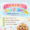 福山市内の送迎もご相談ください！定期的なお手入れを支えるシャンプーDAYのご案内
