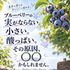 ブルーベリー剪定セミナー2026を開催します🫐💜