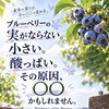 ブルーベリー剪定セミナー2026を開催します🫐💜