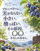 「ブルーベリー剪定セミナー2026を開催します🫐💜」