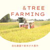 稲刈りのご報告🌾
