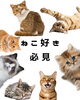 「猫と暮らす方へ！喜び☆アレが出ました」