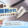 屋根の塗装が剥がれている！「塗膜剥離」は劣化のサイン