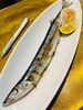 「秋の味覚！脂ののった旬の「さんま塩焼き」が始まりました / Salt-Grilled Pacific Saury / 盐烤秋刀鱼」