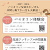 手ぶらでOK!必ず弾ける大人のバイオリン体験レッスン