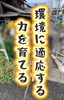 「＼環境に適応する力を育てる🐶👷／」
