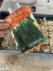 フレーベル農園で秋野菜作り。ズッキーニのたね。「【フレーベル農園だより🌱】種から育てるズッキーニ 🥒秋の畑仕事が始まります！」