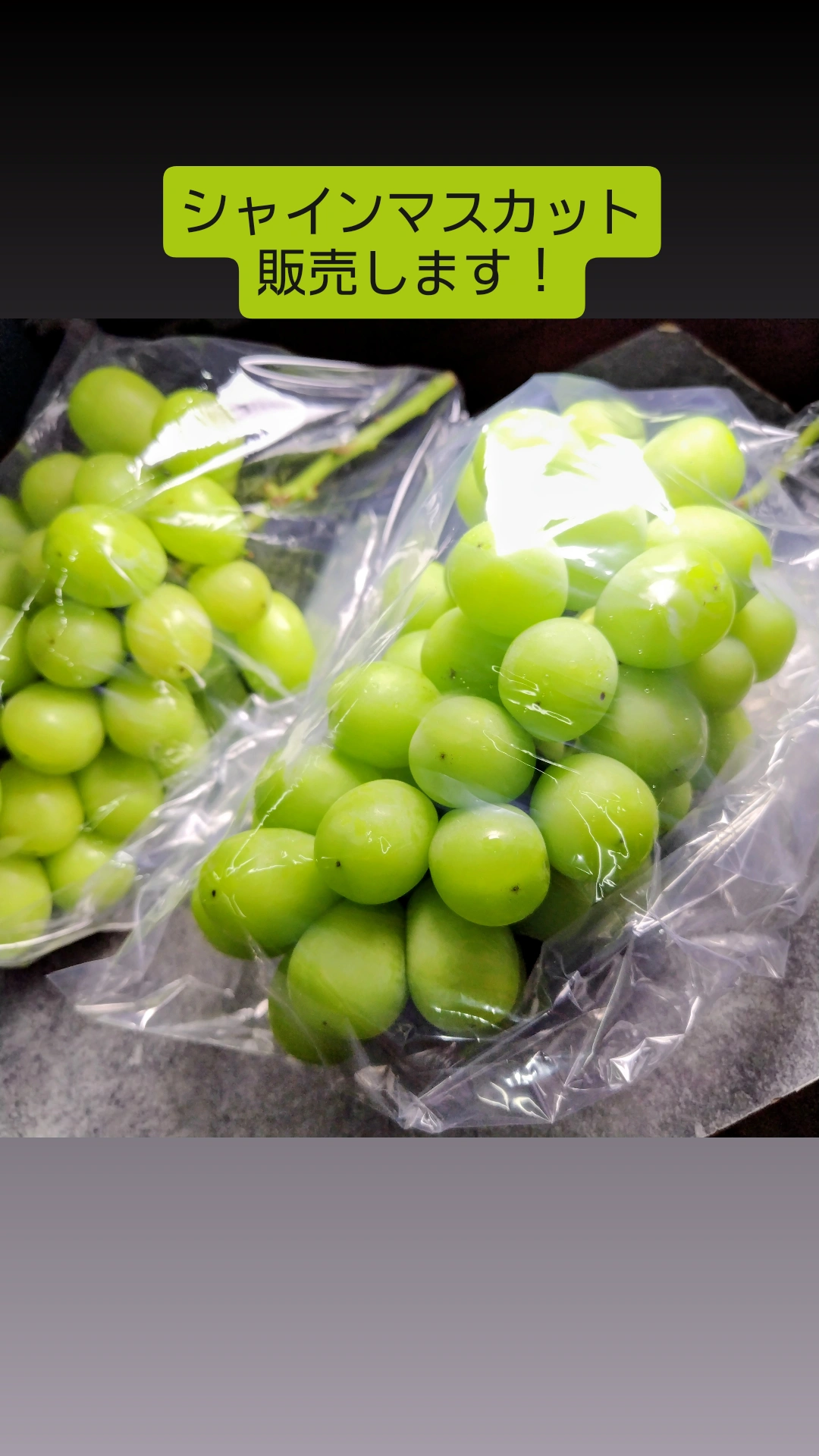 「山梨県産シャインマスカット販売‼️」