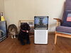 「「ペットのニオイが気にならなくなった！」京風に届いた嬉しいお声をご紹介🐕🐈」