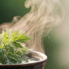 冷えが気になる季節に🌿心地よい温かさとハーブの香りで包み込むよもぎ蒸し時間