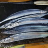 秋刀魚　殻付き生ウニ