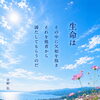 【ひとりで抱え込まなくて大丈夫】｜他者との関わりから始める一歩🌱