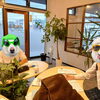 【自立型個別指導Growing Up＋ 賀来校】アメリカ小麦の生産地