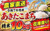 「【ふるさと納税】早い者勝ちです【お米】」