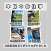 【本日の作業実績】公園の草刈り、庭木伐採から単身引越しまで！