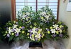 自宅葬の生花の飾り「和歌山市の自宅葬・一日葬事例｜住み慣れた我が家からの旅立ち」