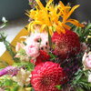 色とりどりの花が奏でる、秋のはじまり。