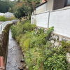 用水路沿いの石垣を除草作業ですっきり整えました