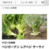 ☆カラフル野菜の小山農園『eテレ　やさいの時間』登場予定☆