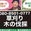 広い敷地や法人施設の草刈りもお任せください！現地確認・無料見積もり受付中