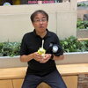 🍈「メロンがすごい！」宇都宮産メロンソフト、ご好評いただいています✨
