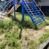 大蓮東公園の愛護活動を実施しました――子どもたちが安全に過ごせる環境づくりへ
