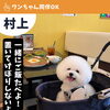 店内ワンちゃん同伴OKです！！『新潟県村上市で家族で子連れ安心、ペット同伴可、村上牛、岩のりおにぎり、ご当地グルメ、女子会、飲み放題、ディナー、ガレット、グリル料理デイズ』