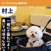 店内ワンちゃん同伴OKです！！『新潟県村上市で家族で子連れ安心、ペット同伴可、村上牛、岩のりおにぎり、ご当地グルメ、女子会、飲み放題、ディナー、ガレット、グリル料理デイズ』