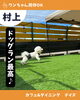 沢山走り回ってね！「ドッグラン有ります！『新潟県村上市で家族で子連れ安心、ペット同伴可、村上牛、岩のりおにぎり、ご当地グルメ、女子会、飲み放題、ディナー、ガレット、グリル料理デイズ』」