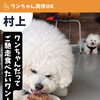 ワンちゃんだってご馳走食べたい！『新潟県村上市で家族で子連れ安心、ペット同伴可、村上牛、岩のりおにぎり、ご当地グルメ、女子会、飲み放題、ディナー、ガレット、グリル料理デイズ』