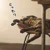 お疲れのリセット