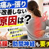 【原因は前にある】背中の痛み・張りが改善しない原因は？胸の筋膜と肋間神経も要チェック【松江・出雲・米子・整体・根本改善】