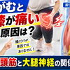 【意外な原因】しゃがむと膝が痛い原因は太もも？大腿四頭筋と大腿神経の関係を解説【松江・出雲・米子・整体・根本改善】