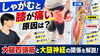 「【意外な原因】しゃがむと膝が痛い原因は太もも？大腿四頭筋と大腿神経の関係を解説【松江・出雲・米子・整体・根本改善】」