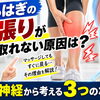【脚パンパン】ふくらはぎの張りが取れない原因は？筋膜と神経から考える3つのポイント【松江・出雲・米子・整体・根本改善】