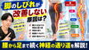 「【原因不明の痺れ】脚のしびれが改善しない原因は？腰から足まで続く神経の通り道を解説【松江・出雲・米子・整体・根本改善】」