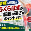 【意外な原因】腰痛の原因はふくらはぎ？腰だけではなく「ふくらはぎの筋膜」がポイントです【松江・出雲・米子・整体・根本改善】