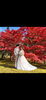 「函館で紅葉ロケの街ウェディングフォトモニター募集🍁残り1組様限定のご案内💍✨」