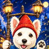 お知らせ📢