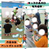 作業体験♻️ペットボトル分別♻️