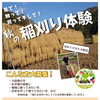 【秋の稲刈り体験】見て！触って！刈って干して！富加町の田んぼで収穫の喜びを一緒に味わいませんか？🌾ランチ付き🍚/おきな/農家/農業/岐阜県/関市/富加町/田んぼ/稲作/稲刈り/ハザ干し/農薬化学肥料不使用/収穫体験/各種イベントも開催