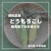 今シーズン 高原とうもろこし終了のお知らせ』道の駅木曽福島