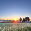そばの花と黄金の稲穂が彩る夕暮れ　秋の実りを迎える会津へ