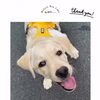 ＼パピートレーニング🐶／お散歩デビュー🌱