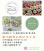 「🌵新小岩わいわいフェスにtaniku-dayさん＆HANAHANAさん出店！多肉植物・ガーデン雑貨の販売と多肉寄せ植え体験も♥️［2026年10月3日（土）11時～16時・東新小岩運動場］」