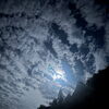 昨夜の夜空を見上げて感じたこと