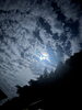 「昨夜の夜空を見上げて感じたこと」