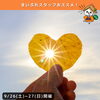 9/26(土)〜27(日)開催！今週末の徳島イベント8選を公式Instagramで公開中